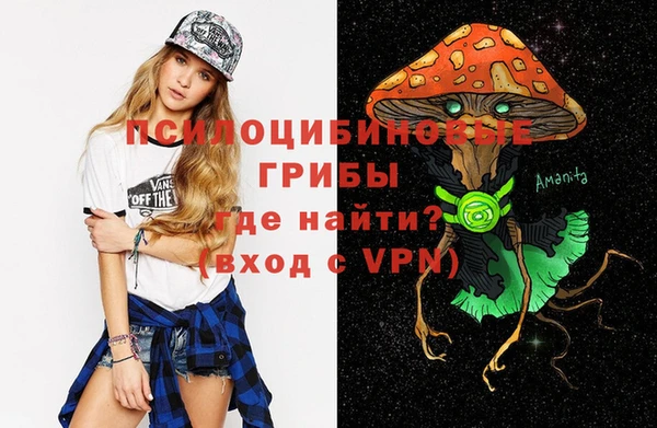 метадон Заволжск
