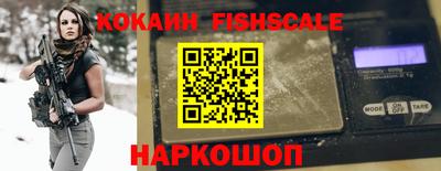 a pvp Камышлов