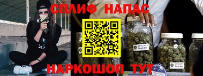 a pvp Камышлов