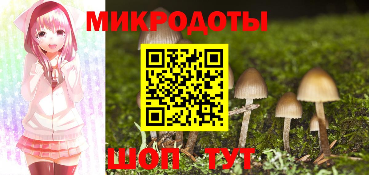 Галлюциногенные грибы Psilocybe Иваново